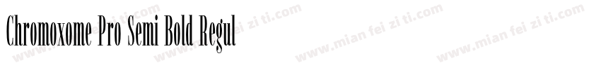 Chromoxome Pro Semi Bold Regular字体转换